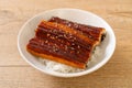 Japanese eel grilled with rice bowl or Unagi don Royalty Free Stock Photo