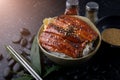 Japanese eel grilled with rice or Unagi don. Royalty Free Stock Photo