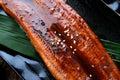 Japanese eel grilled or Unagi ibaraki. Royalty Free Stock Photo