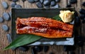 Japanese eel grilled or Unagi ibaraki. Royalty Free Stock Photo