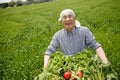 Japanese farmer man, senior who works cheerfully and cheerfully Royalty Free Stock Photo