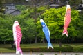 Japanese Fish Flag: Koinobori. In Japan fish flags are symbols for children\'s day.