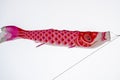 Japanese Fish Flag: Koinobori. In Japan fish flags are symbols for children\'s day.