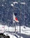 Japanese flag in blizzard