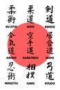 Japanese flag with set of martial arts symbols