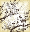 Japanese floral background Royalty Free Stock Photo