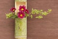 Japanese flower arrangement in bamboo Royalty Free Stock Photo
