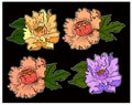 Set of peony flower vector for printing on background. Royalty Free Stock Photo