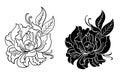 Floral for doodle art and coloring book on white isolated background.Peony vector illustration for tattoo style. Royalty Free Stock Photo