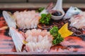 Japanese food background of white fish or red snapper raw sashimi Royalty Free Stock Photo