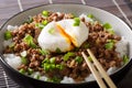 Japanese food: beef Soboro with egg poached, rice and green onion close-up in a bowl. horizontal