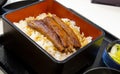 Japanese food eel with kabayaki sauce on rice Royalty Free Stock Photo