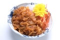 Japanese food jellyfish with seasame oil Royalty Free Stock Photo