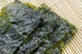 Japanese food nori dry seaweed sheets with salt Royalty Free Stock Photo