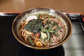 Japanese food - Sansai soba Royalty Free Stock Photo