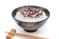 Japanese Shirasu and Umeboshi on rice Royalty Free Stock Photo