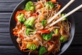 Japanese food: Soba noodles with mushrooms, broccoli, carrots, p