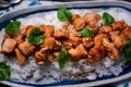 Japanese Food Style Teriyaki Chicken on Steamed Rice Royalty Free Stock Photo