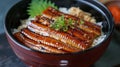 japanese food unagi rice bowl Royalty Free Stock Photo