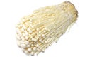 Japanese fresh enoki mushroom in white #3