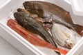 Japanese fresh fish box Royalty Free Stock Photo