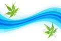 Japanese fresh green maple leaf abstract on blue water wave background Royalty Free Stock Photo