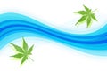 Japanese fresh green maple leaf abstract on blue water wave background Royalty Free Stock Photo