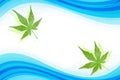 Japanese fresh green maple leaf abstract on blue water wave background Royalty Free Stock Photo