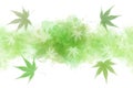 Japanese fresh green maple leaf abstract on watercolor paint background Royalty Free Stock Photo