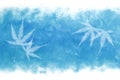 Japanese fresh maple leaf abstract on summer blue watercolor paint background Royalty Free Stock Photo