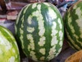 Japanese fresh and sweet water melon Royalty Free Stock Photo