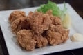 Japanese Fried Chicken Pieces