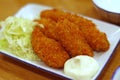 Japanese Fried Oysters