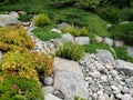 Japanese friendship garden in Balboa park San Diego Royalty Free Stock Photo