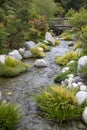 Japanese friendship garden in Balboa park San Diego Royalty Free Stock Photo