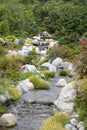 Japanese friendship garden in Balboa park San Diego Royalty Free Stock Photo