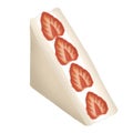 Japanese Fruit Sandwich Icon Illustration