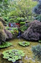 Japanese Garden