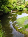 Japanese garden Royalty Free Stock Photo