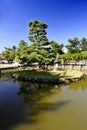 Japanese garden Royalty Free Stock Photo