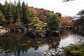 Japanese garden