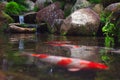 Japanese Garden Royalty Free Stock Photo