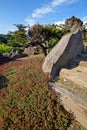 Japanese garden Royalty Free Stock Photo