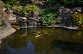 Japanese garden Royalty Free Stock Photo