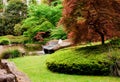 Japanese Garden 7 Royalty Free Stock Photo