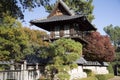 Japanese garden autumn Royalty Free Stock Photo