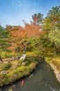 Japanese garden in autumn in kyoto Royalty Free Stock Photo