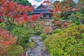 Japanese garden autumn in Nara, Japan Royalty Free Stock Photo