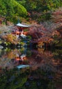 Japanese garden in autumn season Royalty Free Stock Photo