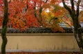 Japanese garden in autumn season, branches of red leaves of maple trees and yellow wall Royalty Free Stock Photo